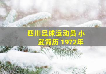 四川足球运动员 小武简历 1972年